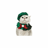 Christmas Octagon Hat for Cats