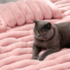 AyipetsStore_LuxuryDecorativeCozyPetMat4