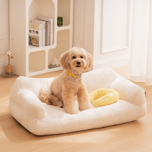 Pet Sofa 101: A Pet Lover's Handbook to Plush Perfection