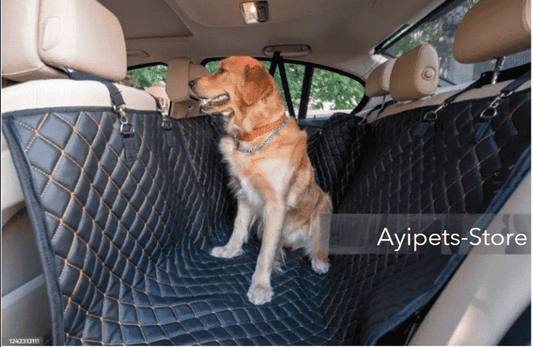 Journeying with Your Furry Companions: Tips for Outdoor Travels