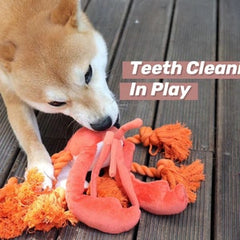 Lobster dog toys, squeaky dog leash toys, dog interactive chew toys, dog Christmas toys, dog birthday gifts