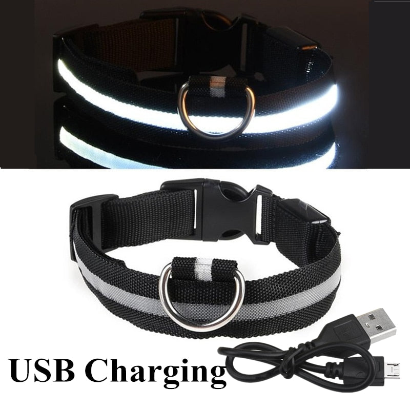 adjustable dog collar led glowing luminous collar dog night pet safety collar