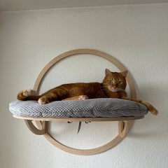 Wall-mounted Cat bed, Wooden Cat Climbing Wall Modern Cat Rack