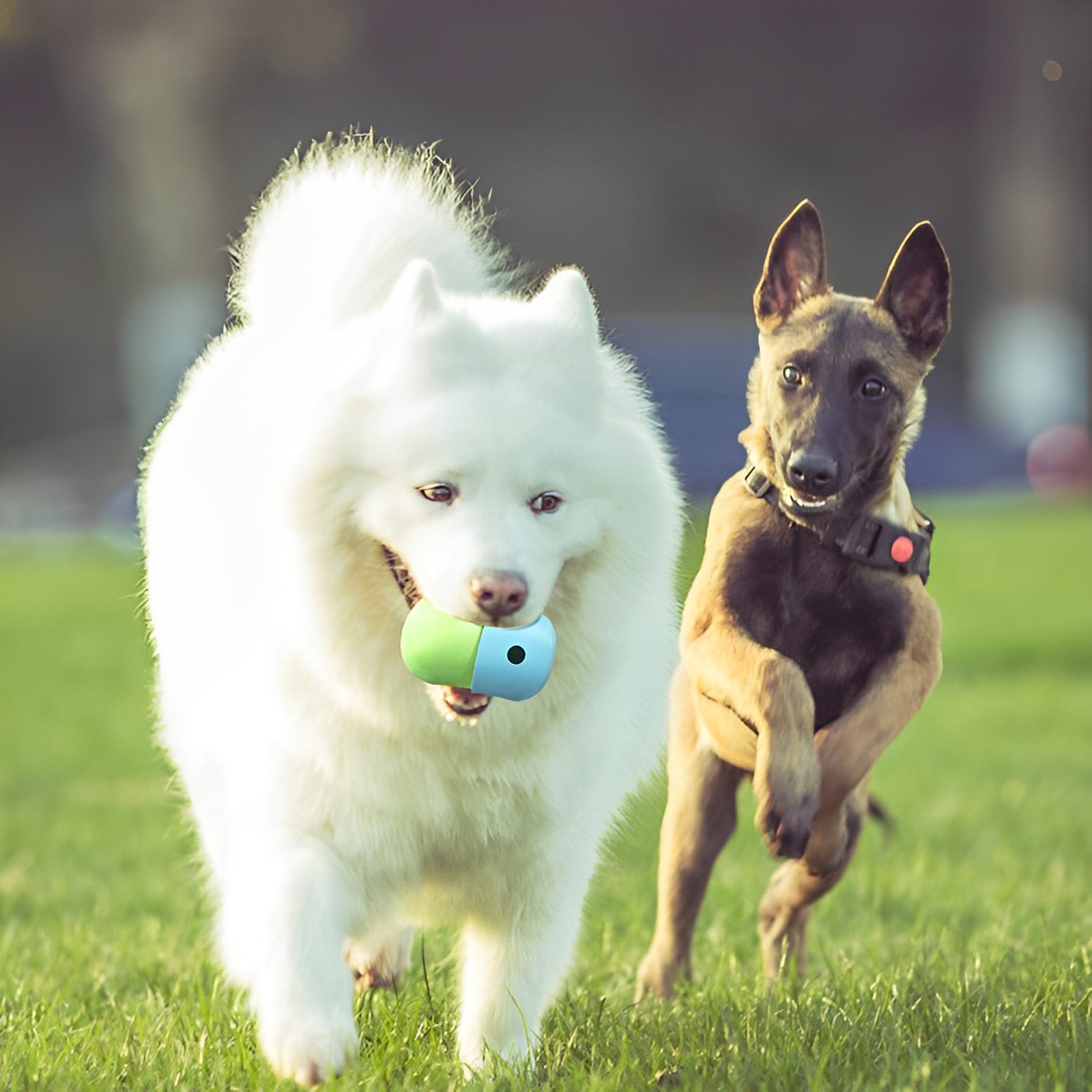 The Newest Leaky and Chewy Silicone Toys