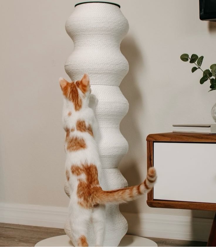 Modular Eco-Friendly Indoor Vertical Large Cat Scratching Post