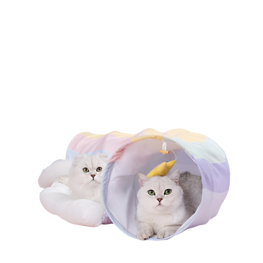 Rainbow Cat Tunnel Bed