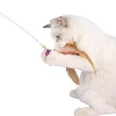 Flying High: Unleashing the Fun with Feather Teaser Cat Toys (Buy 1 Get 1)