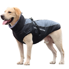 High Collar Warm Dog Jacket Thickened Dog Cotton Coat