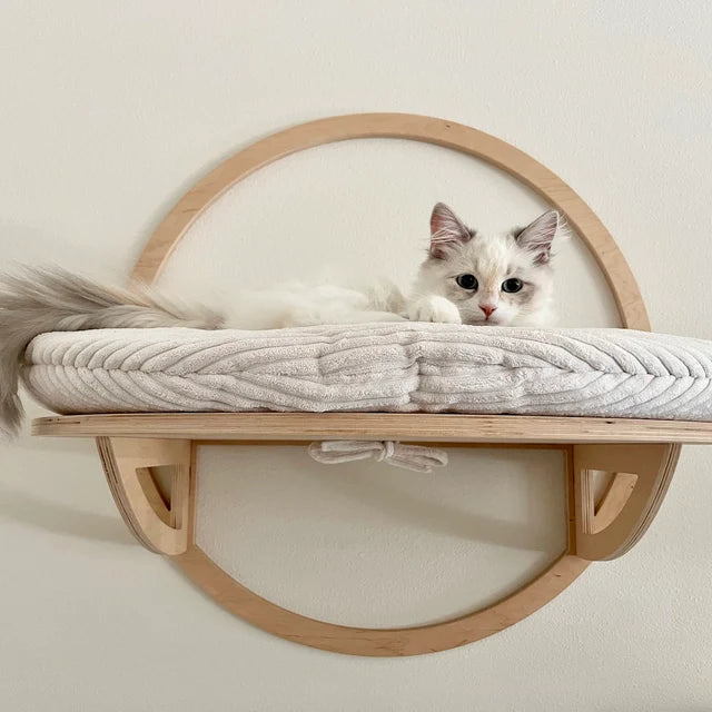 Wall-mounted Cat bed, Wooden Cat Climbing Wall Modern Cat Rack