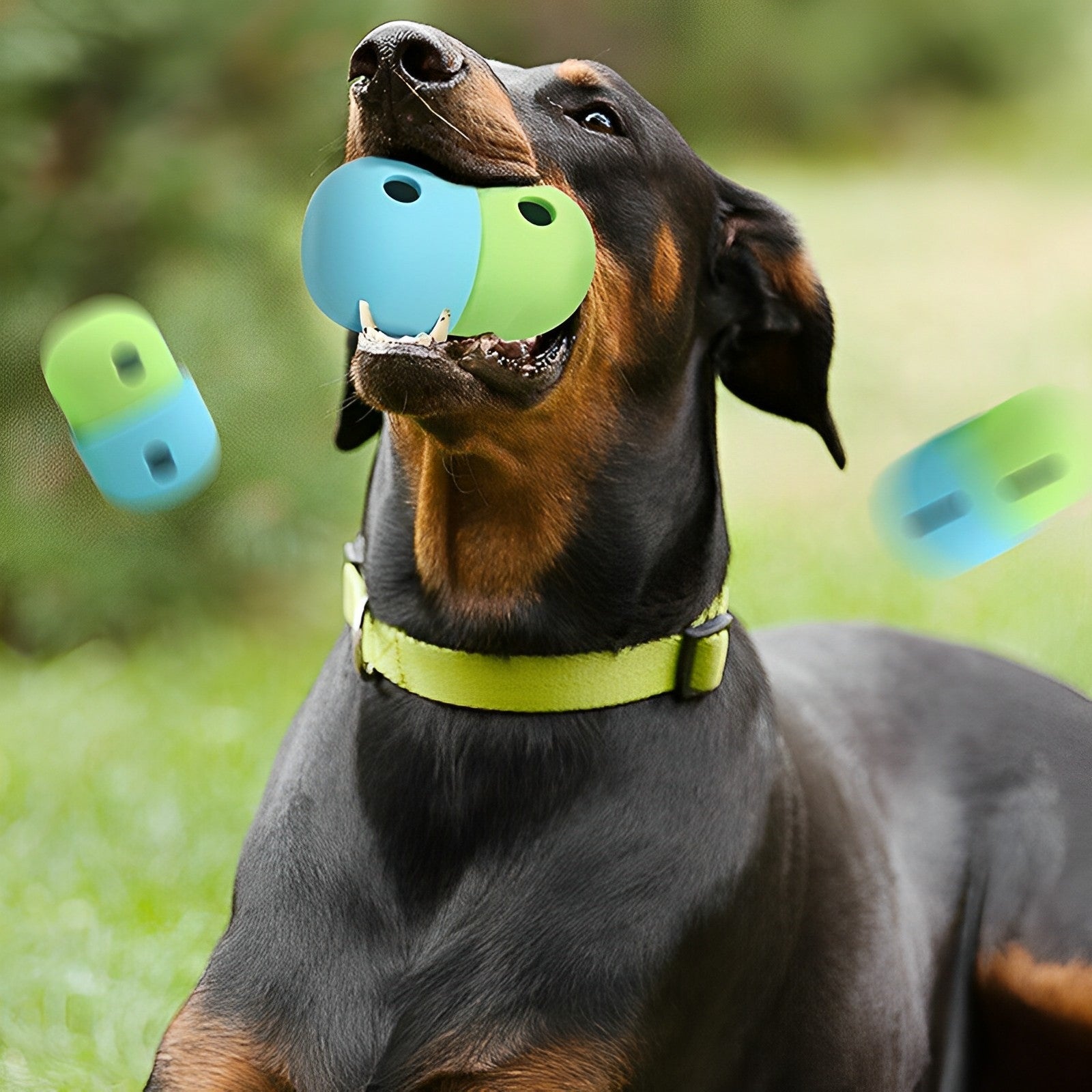 The Newest Leaky and Chewy Silicone Toys