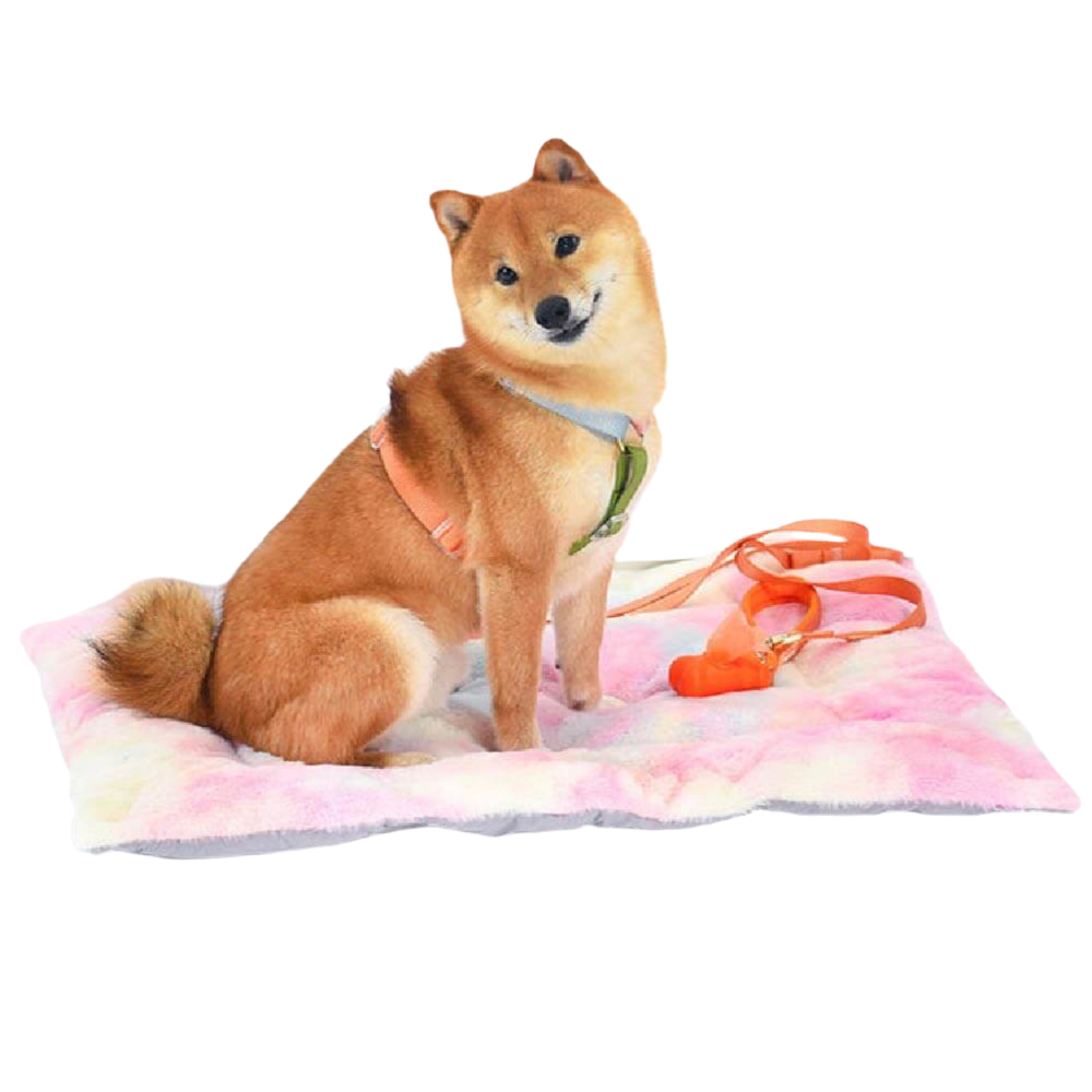 Variable Dog Bed - Color Brust