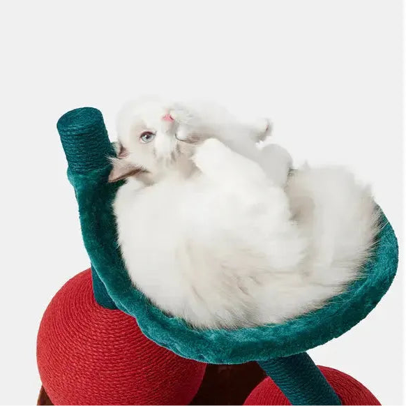 Cherry cat climbing frame cat scratching ball two in one wear-resistant cat toy self-entertainment cat toy