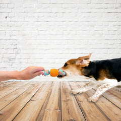 Bow Tie Type Leaky Chew Toy