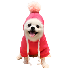 Fruit Pet Coat Hoodies