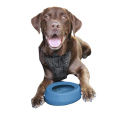 Splash Free Wander Water Bowl, No Spill Dog Travel Bowl, Portable No Mess Bowl for Dogs, Splash Less Car Bowl for Pets