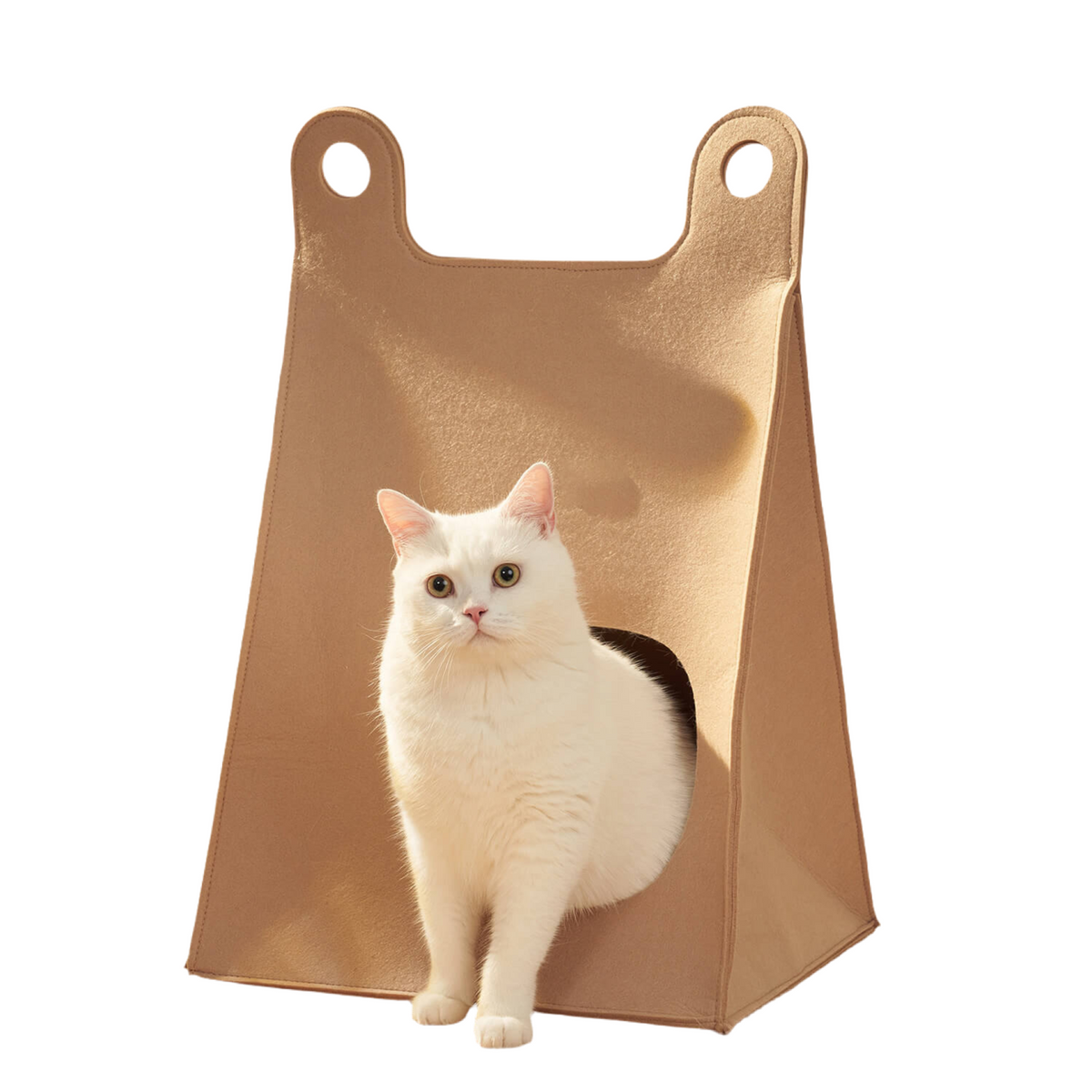 Foldable Felt Cat Hide & Seek Bag Cute Cat Nest