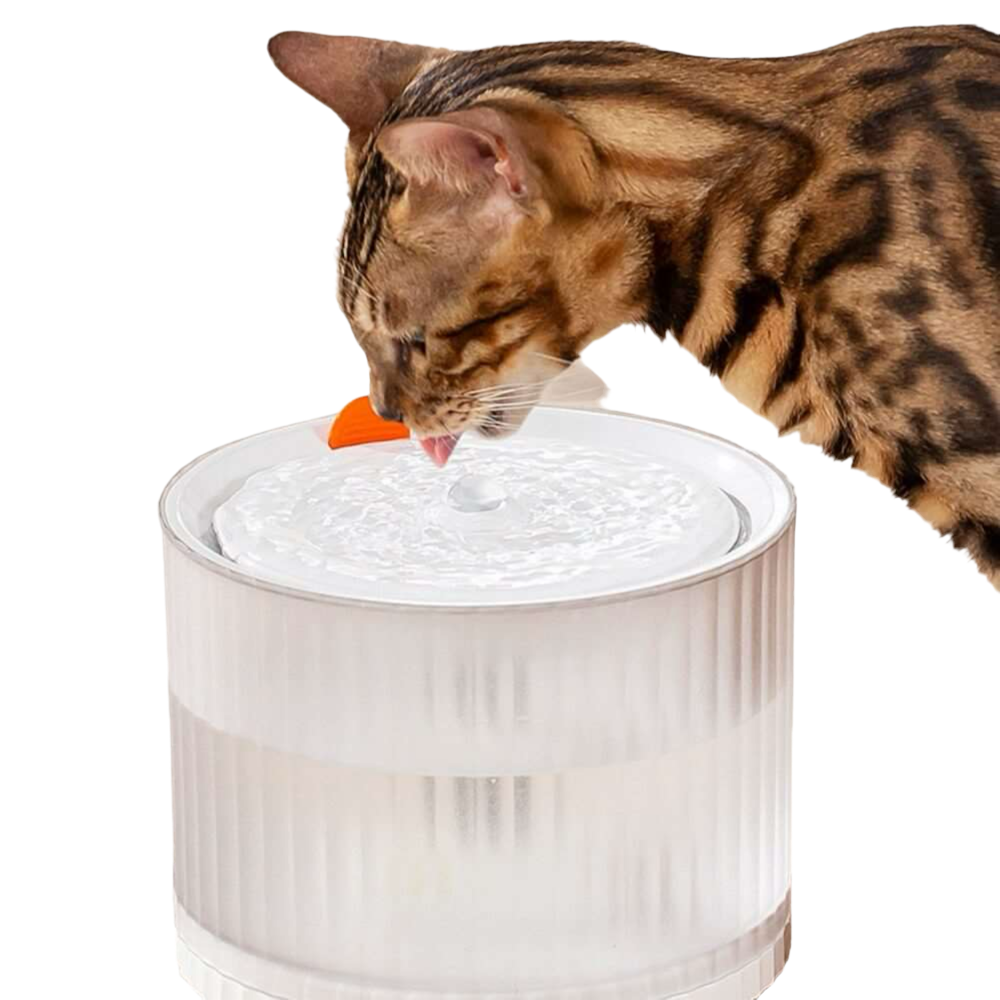 Cat Water Dispenser Automatically Circulates Large Capacity Dog Drinking Water Feeder