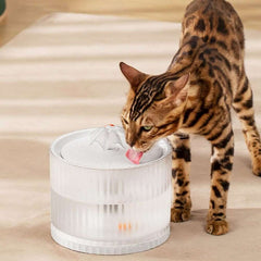 Anti-leakage Automatic Cycle Pet Smart Water Dispenser