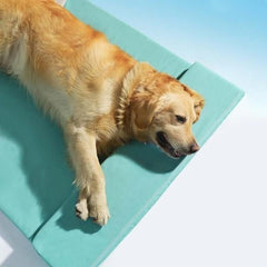 summer beach pet bed kennel for all seasons dog and cat ocean sleeping mat