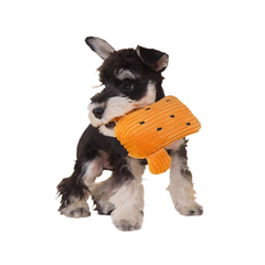 Plush Squeaky Dog Toy Set - Cactus