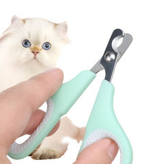 Pet Grooming Brush Tool Kit