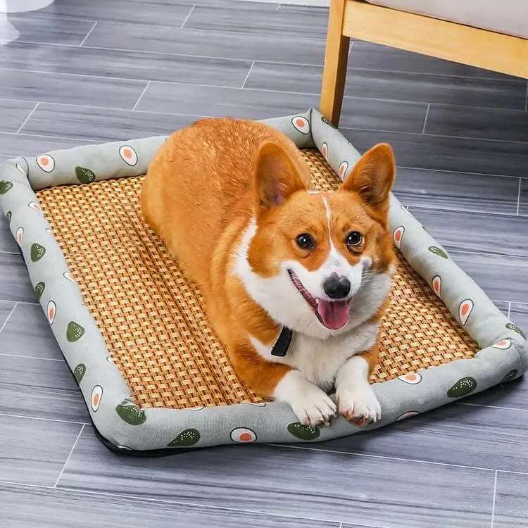 Cats and Dogs Ice Vine Cool Bed Cool Mat