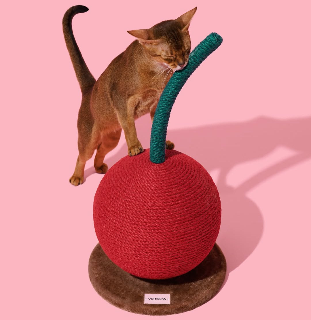 self-entertainment cat toy