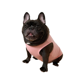 Pink Matching T-Shirts and Puppy Vest Set for Dog and Owner