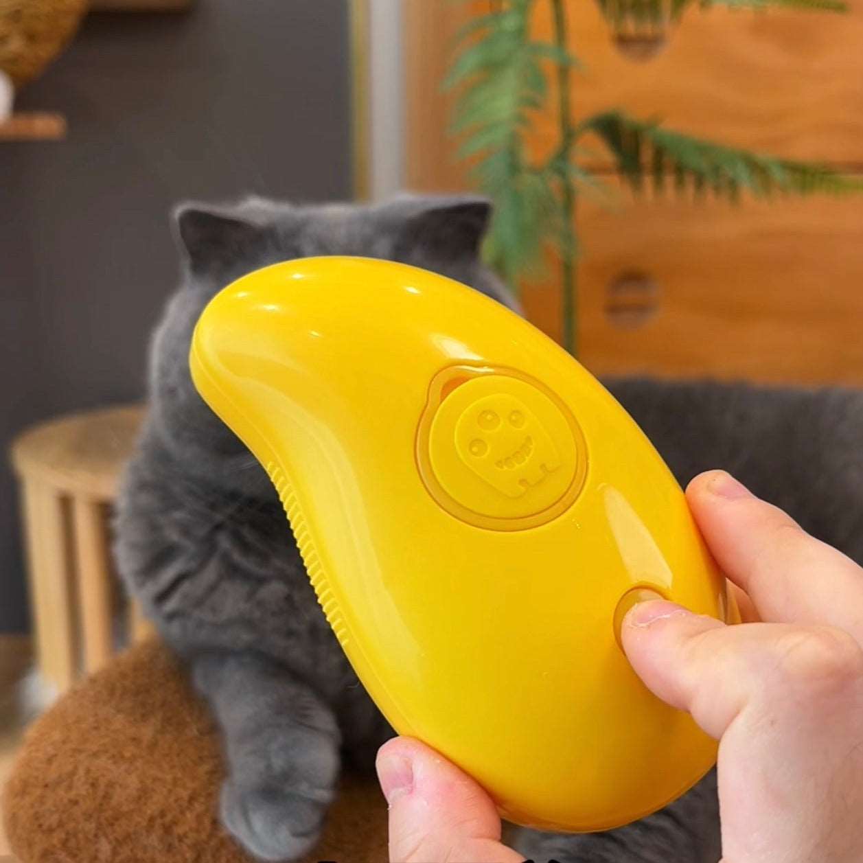 Cat Steamy Brush