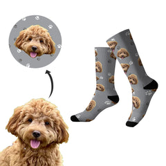 How to customize your personalized pet socks