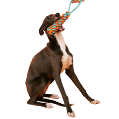 Braided Rope Stick Tug Dog Toy - Color Clash