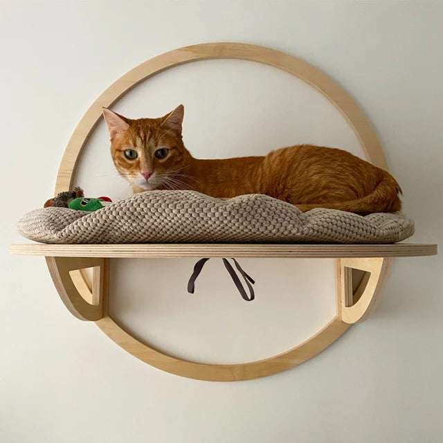 Wall-mounted Cat bed, Wooden Cat Climbing Wall Modern Cat Rack