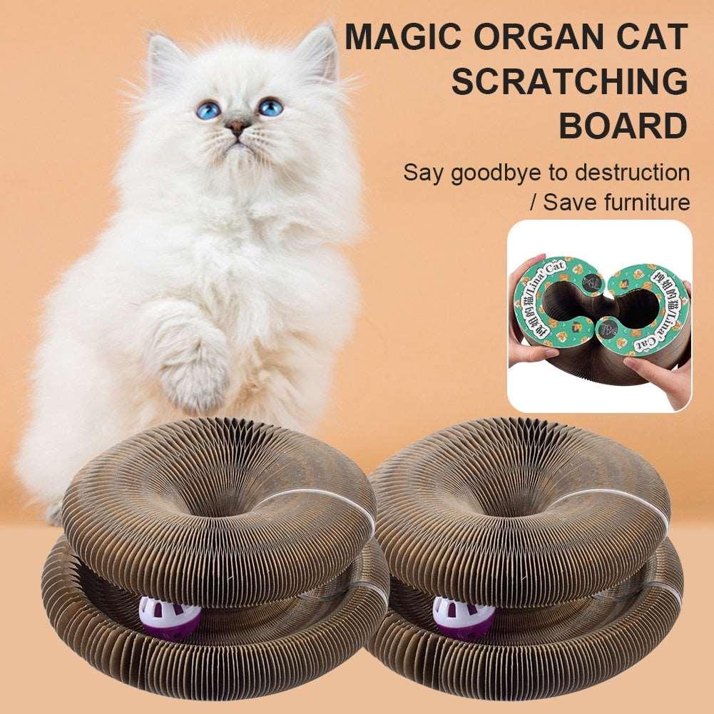 Foldable Magic Organ Board Bell Cat Grinding Claw Scratching Board Toy Ayipets Store