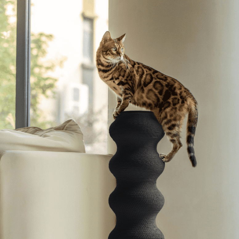 Modular Eco-Friendly Indoor Vertical Large Cat Scratching Post