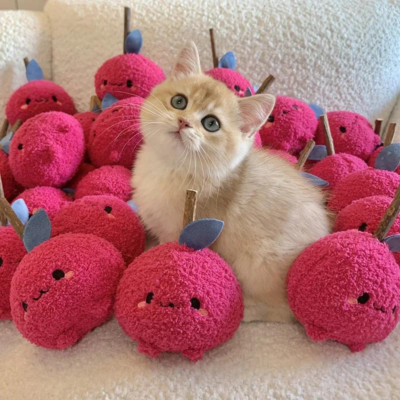 Plush Cat Toy Silvervine Cat Grinding Toys Funny Interactive Pet Kitten Chewing Toy Bite Self-Healing Toy