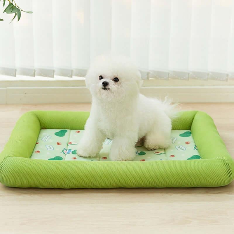 One of The Best Cooling Mattress for Pet Beds in 2023 - Ayipets Store