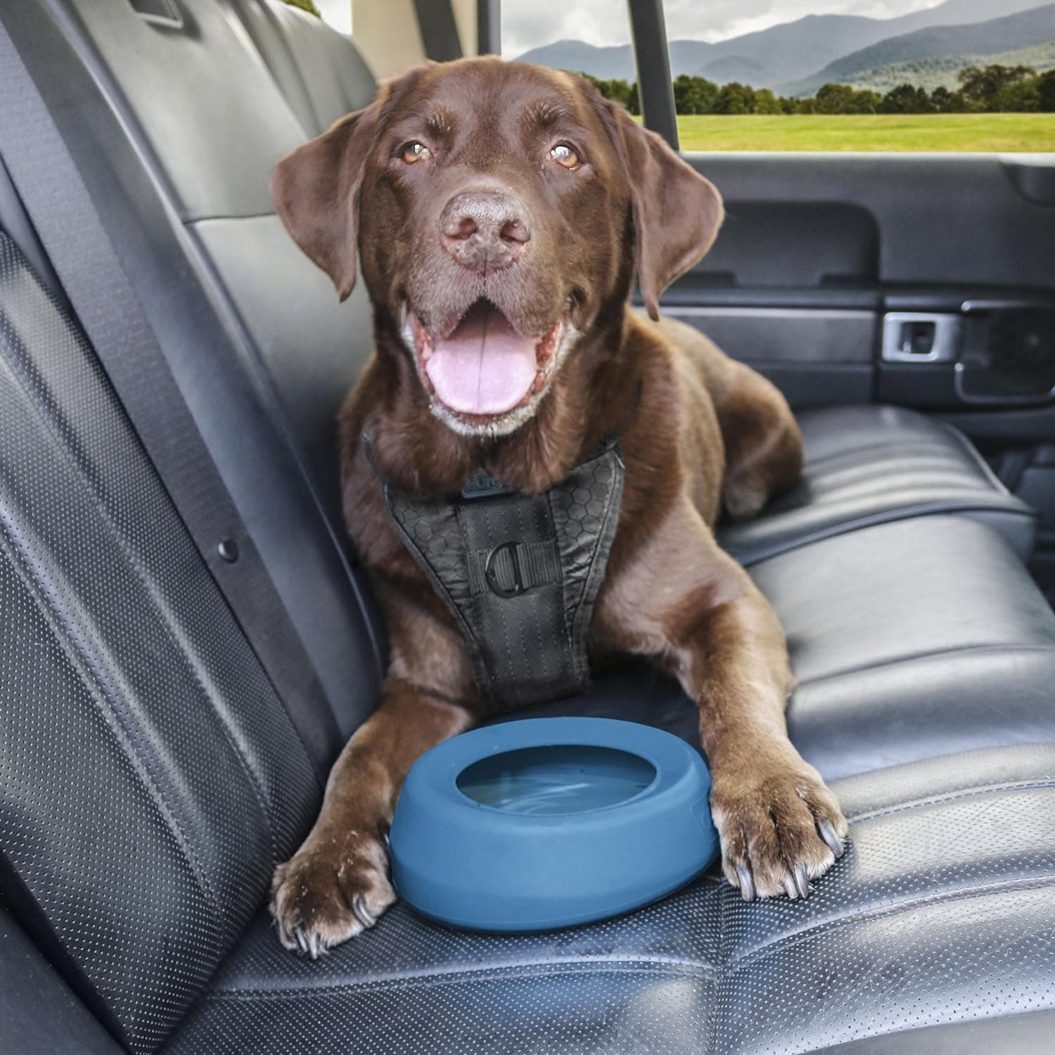 Splash Free Wander Water Bowl, No Spill Dog Travel Bowl, Portable No Mess Bowl for Dogs, Splash Less Car Bowl for Pets