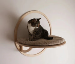 Wall-mounted Cat bed, Wooden Cat Climbing Wall Modern Cat Rack