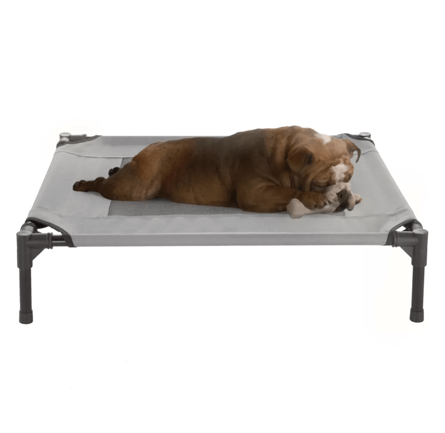 Portable Waterproof Pet Elevated Dog Bed