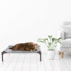 Portable Waterproof Pet Elevated Dog Bed