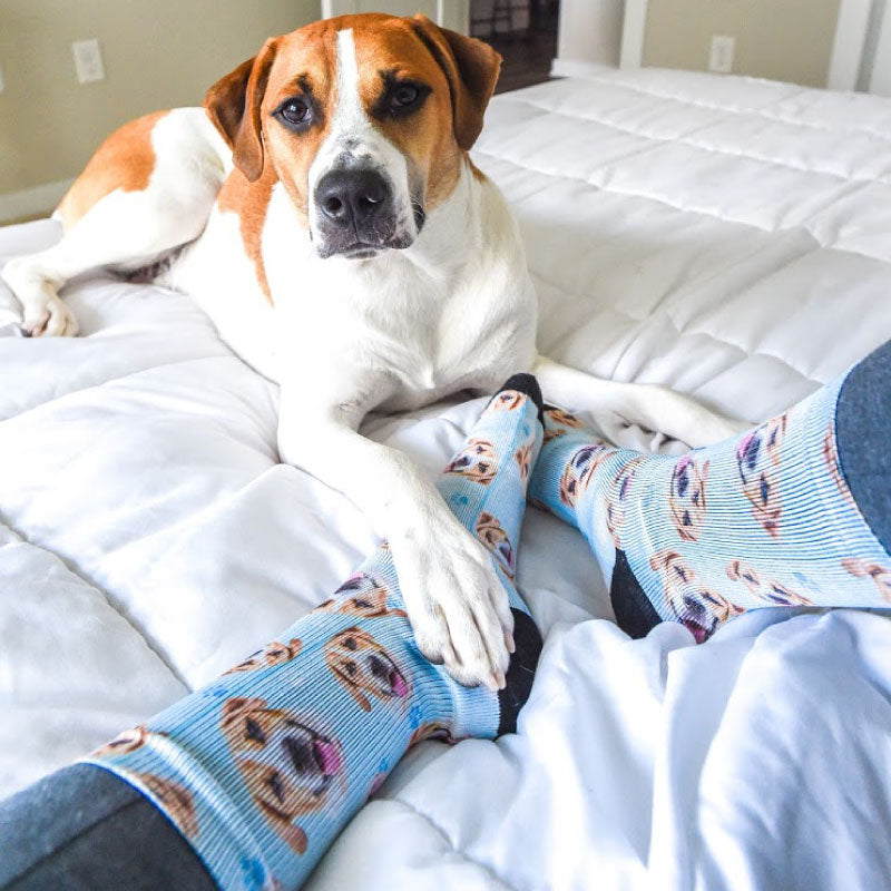 How to customize your personalized pet socks