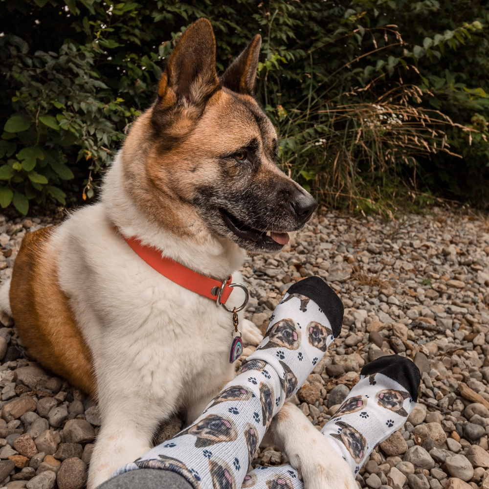 How to customize your personalized pet socks