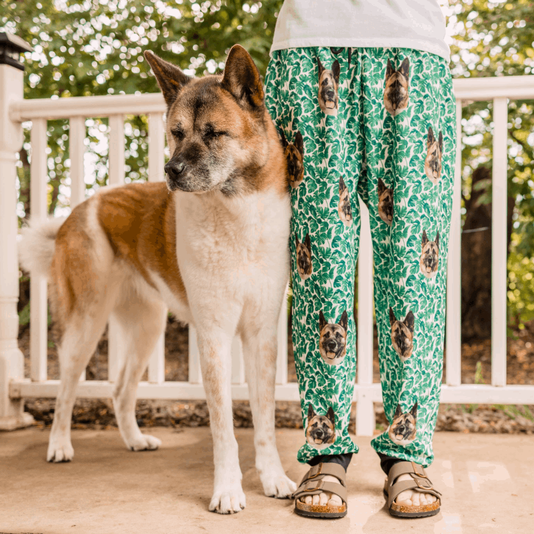 Tired of customizing pet sweatpants the old way?