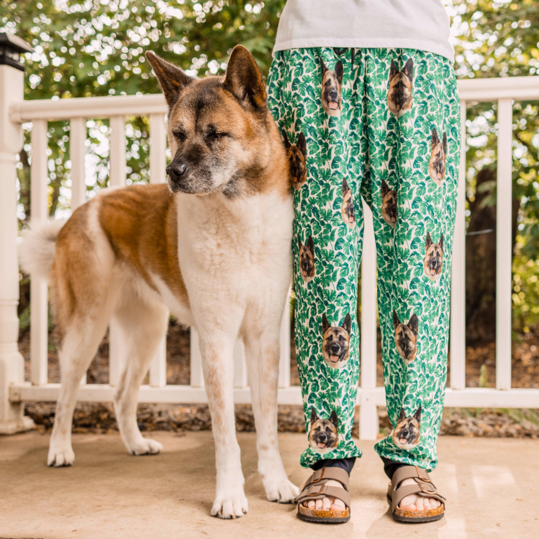 Tired of customizing pet sweatpants the old way?