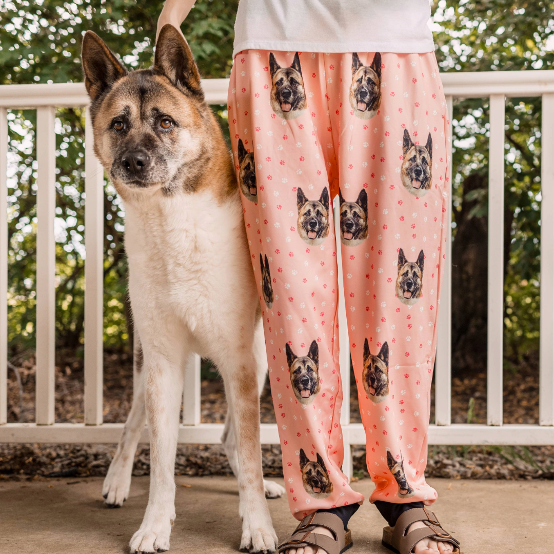 Tired of customizing pet sweatpants the old way?