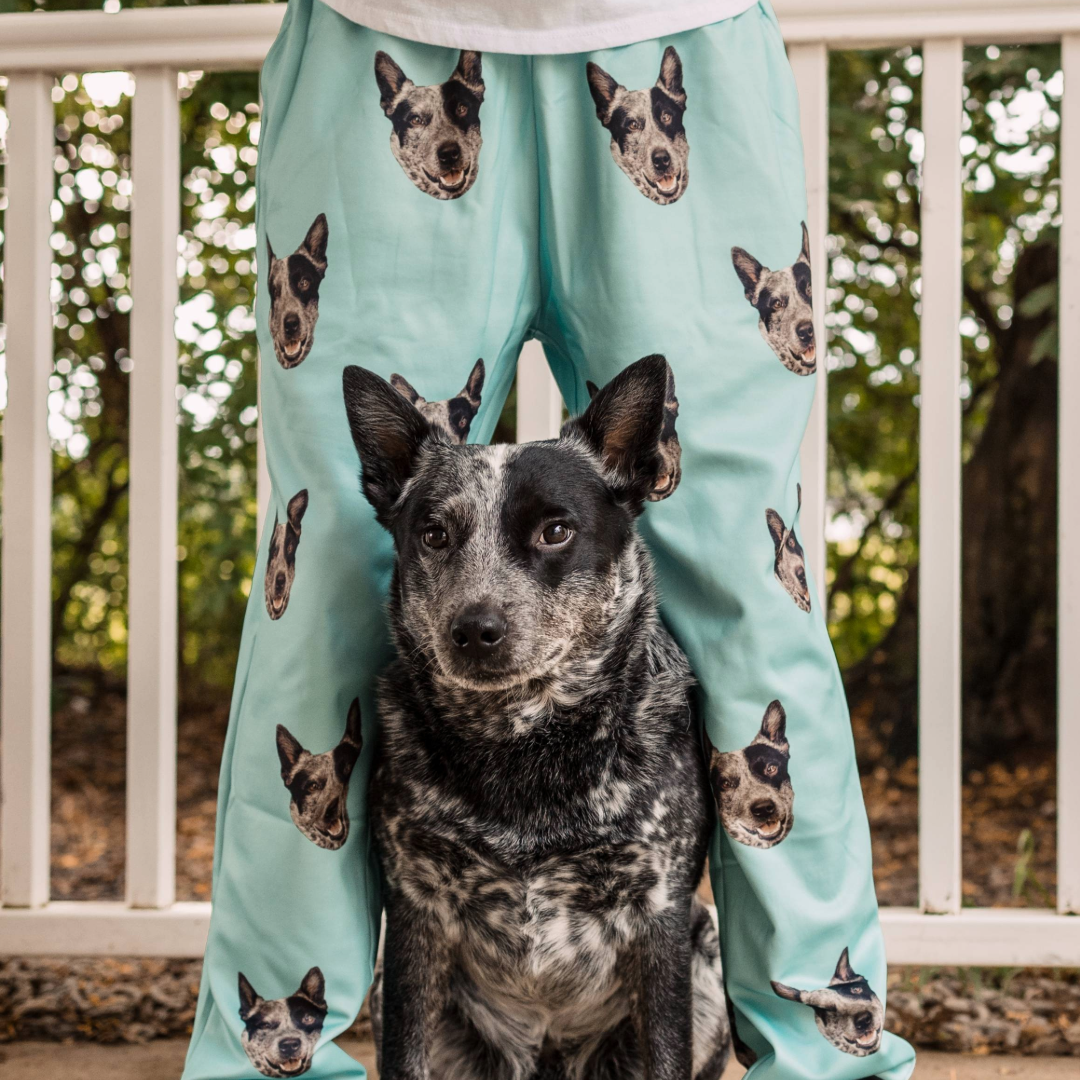 Tired of customizing pet sweatpants the old way?