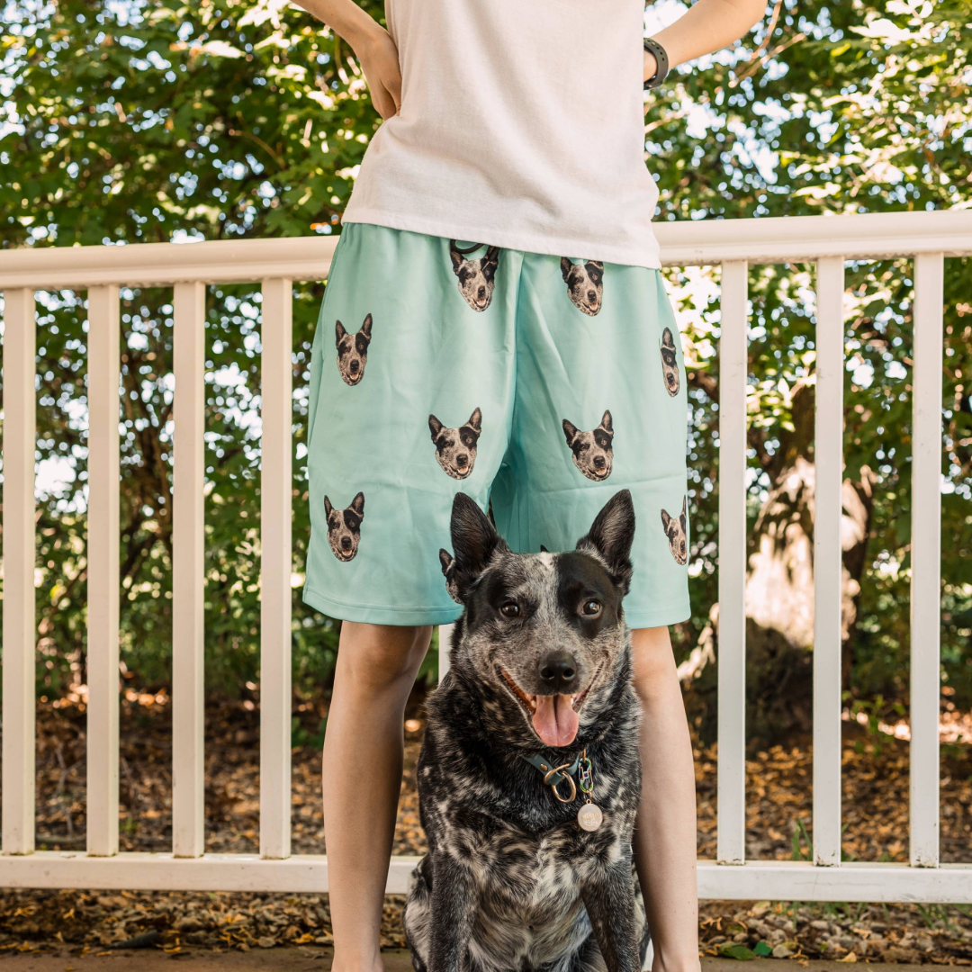 The Best Way Ever to Customize Pet Sportswear