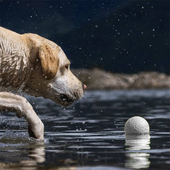 Popcorn Training Ball Dog Toy