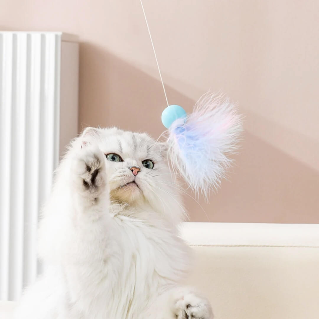 Kitty Rocket  2-in-1 Retractable Cat Wand