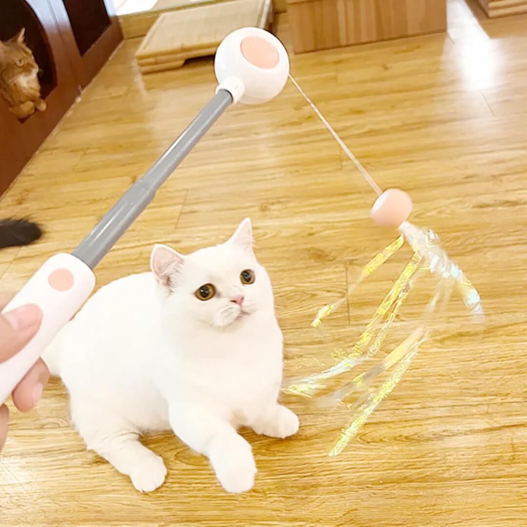 Kitty Rocket  2-in-1 Retractable Cat Wand